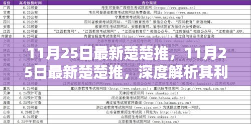 11月25日最新楚楚推深度解析，利弊與個(gè)人觀點(diǎn)