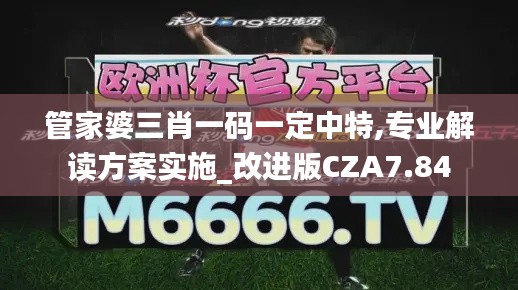 管家婆三肖一碼一定中特,專業(yè)解讀方案實施_改進版CZA7.84
