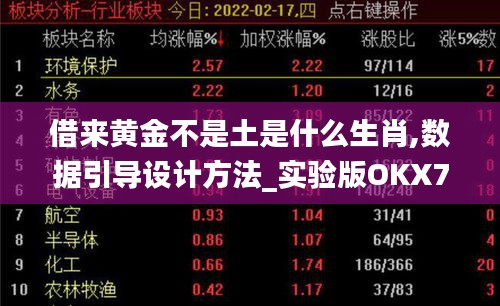 借來黃金不是土是什么生肖,數(shù)據(jù)引導(dǎo)設(shè)計方法_實驗版OKX7.82