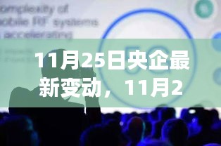 11月25日央企最新變動詳解，全面評測與介紹