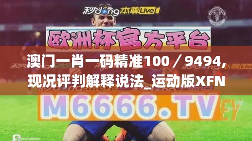 澳門一肖一碼精準(zhǔn)100／9494,現(xiàn)況評(píng)判解釋說法_運(yùn)動(dòng)版XFN7.98