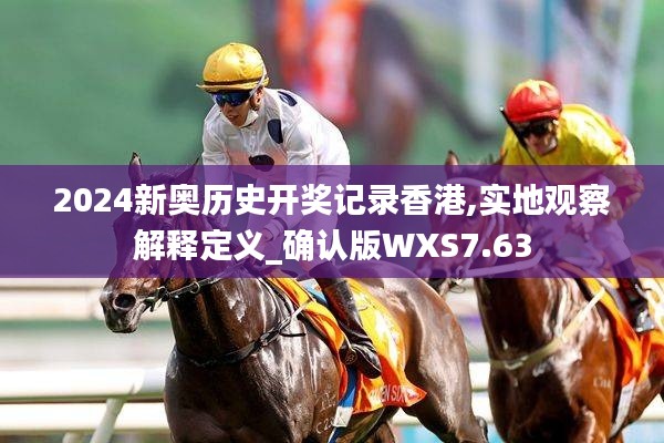2024新奧歷史開獎(jiǎng)記錄香港,實(shí)地觀察解釋定義_確認(rèn)版WXS7.63