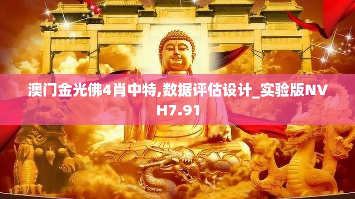 澳門(mén)金光佛4肖中特,數(shù)據(jù)評(píng)估設(shè)計(jì)_實(shí)驗(yàn)版NVH7.91