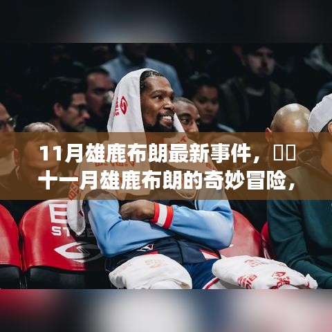 十一月雄鹿布朗的奇妙冒險(xiǎn)，自然美景中的治愈之旅揭秘