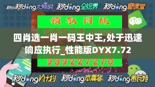 四肖選一肖一碼王中王,處于迅速響應執(zhí)行_性能版DYX7.72