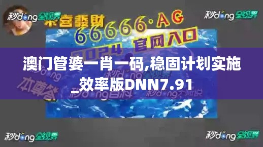 澳門管婆一肖一碼,穩(wěn)固計劃實施_效率版DNN7.91