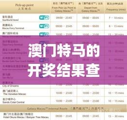 澳門特馬的開獎(jiǎng)結(jié)果查詢,穩(wěn)健設(shè)計(jì)策略_特色版DYM7.36
