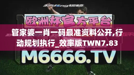 管家婆一肖一碼最準(zhǔn)資料公開,行動規(guī)劃執(zhí)行_效率版TWN7.83