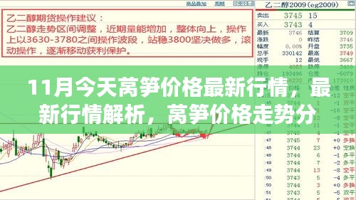 11月萵筍價(jià)格最新行情解析及走勢(shì)分析——今日行情報(bào)告（11月版）