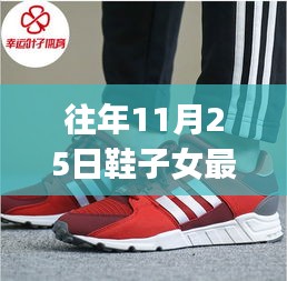 往年11月25日鞋子女最新選購指南，初學(xué)者與進階用戶的時尚舒適之選