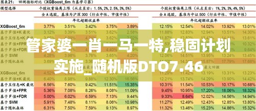 管家婆一肖一馬一特,穩(wěn)固計劃實施_隨機版DTO7.46