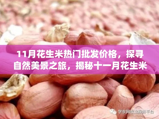 不求甚解 第5頁(yè)