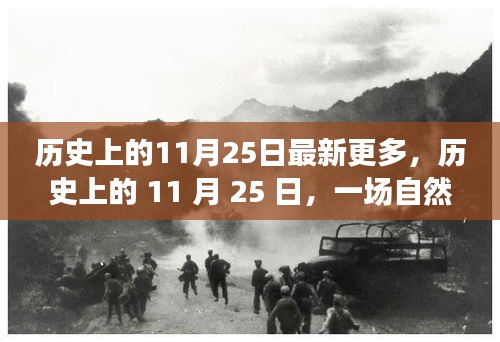 歷史上的11月25日，自然美景探險(xiǎn)之旅，追尋內(nèi)心的寧?kù)o與平和