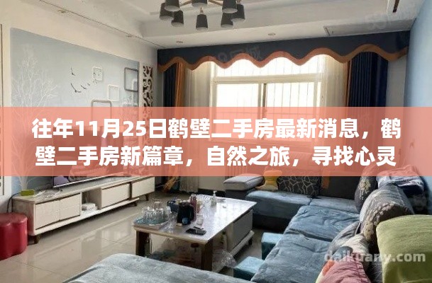 往年11月25日鶴壁二手房最新動(dòng)態(tài)，心靈港灣的自然之旅