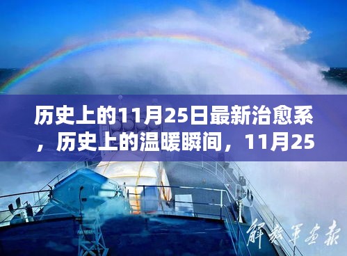 歷史上的治愈瞬間，11月25日的溫暖瞬間回顧