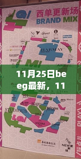 11月25日beeg最新，11月25日Beeg最新更新，深度探討其影響及觀點