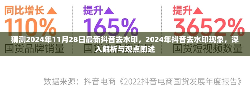 揭秘2024年抖音去水印現(xiàn)象，深度解析與觀點闡述，最新動態(tài)預(yù)測至11月28日