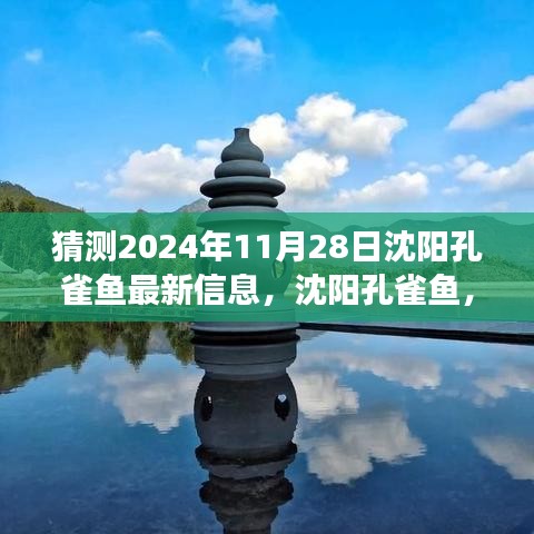 沈陽(yáng)孔雀魚未來(lái)展望，探尋歷史與未來(lái)的交織之美，預(yù)測(cè)2024年11月最新信息揭秘