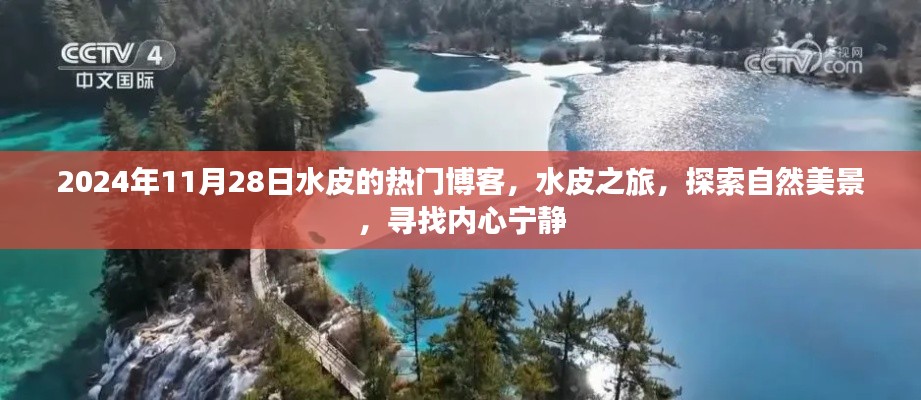 水皮之旅，探索自然美景，尋找內(nèi)心寧靜的博客日志（2024年11月28日）