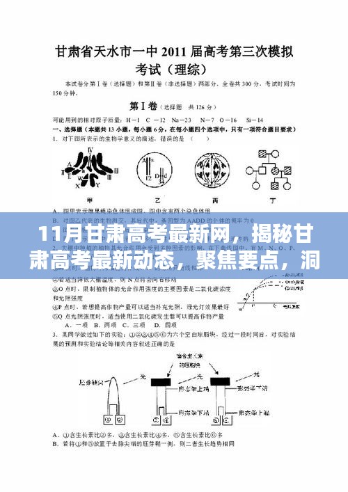聚焦甘肅高考最新動(dòng)態(tài)，揭秘要點(diǎn)、洞悉趨勢(shì)