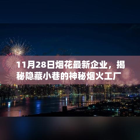 探訪神秘?zé)熁鸸S，揭秘?zé)熁ㄗ钚缕髽I(yè)探訪之旅（11月28日）