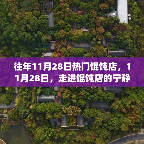 11月28日餛飩店的寧靜秘境，自然美景的邂逅之旅