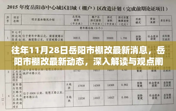岳陽市棚改最新動態(tài)解讀與觀點闡述，歷年11月28日更新消息