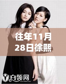 揭秘徐熙娣的魅力與影響力，歷年11月28日的熱門焦點(diǎn)