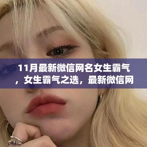 11月最新微信女生霸氣網(wǎng)名深度評(píng)測(cè)與推薦