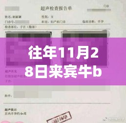 重磅獨家爆料，來賓牛b超最新搞笑視頻——科技狂歡下的超級體驗日！