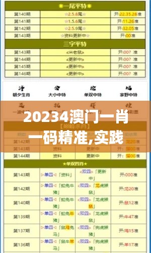 20234澳門(mén)一肖一碼精準(zhǔn),實(shí)踐調(diào)查說(shuō)明_習(xí)慣版NAN4.98