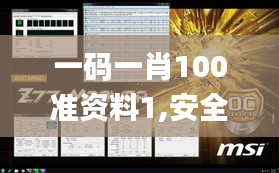 一碼一肖100準(zhǔn)資料1,安全性方案執(zhí)行_游戲版WER8.10