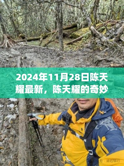 陳天耀的奇妙探險(xiǎn)之旅，自然美景與內(nèi)心寧?kù)o的雙重探索（2024年11月28日最新）