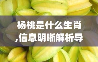 楊桃是什么生肖,信息明晰解析導(dǎo)向_黑科技版HJB8.58