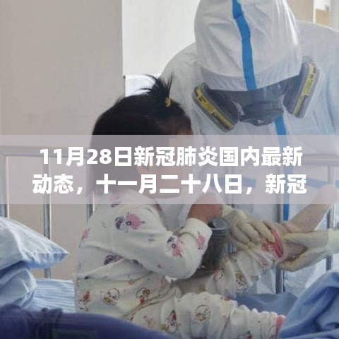 11月28日新冠肺炎國內(nèi)最新動(dòng)態(tài)，時(shí)代脈搏下的疫情更新