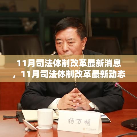 深化法治建設之路，11月司法體制改革最新動態(tài)與消息速遞