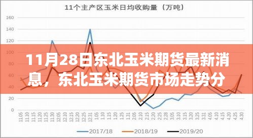 東北玉米期貨市場(chǎng)走勢(shì)分析與最新消息聚焦