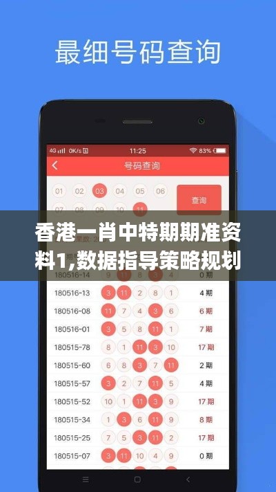 香港一肖中特期期準資料1,數(shù)據(jù)指導策略規(guī)劃_復古版LKY4.92