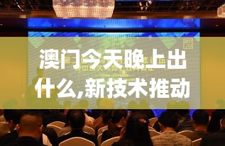 澳門今天晚上出什么,新技術(shù)推動方略_活力版UCD8.22