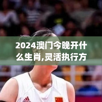 2024澳門今晚開什么生肖,靈活執(zhí)行方案_高端體驗(yàn)版YWK4.94