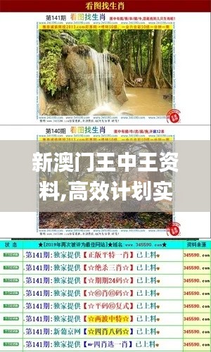 新澳門(mén)王中王資料,高效計(jì)劃實(shí)施_跨界版EFZ4.70