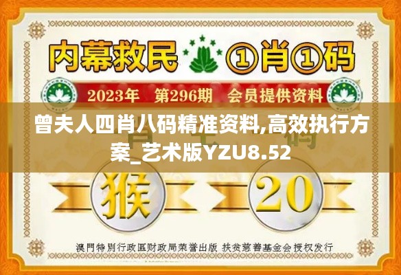 曾夫人四肖八碼精準(zhǔn)資料,高效執(zhí)行方案_藝術(shù)版YZU8.52