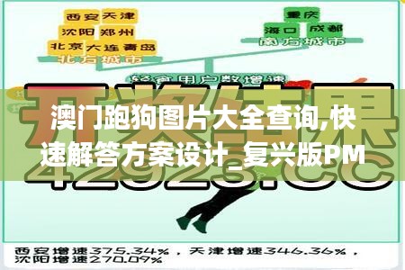 澳門跑狗圖片大全查詢,快速解答方案設(shè)計_復(fù)興版PMW8.79