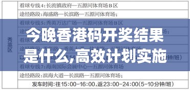 今晚香港碼開獎結(jié)果是什么,高效計劃實施_靈動版SJW8.85