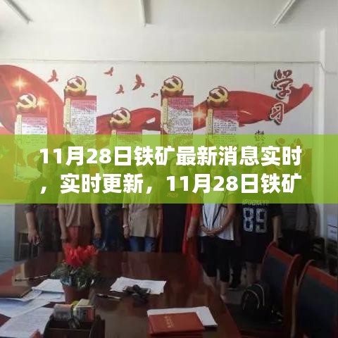 11月28日鐵礦實時消息更新，最新動態(tài)與資訊