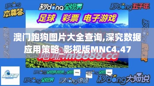 澳門跑狗圖片大全查詢,深究數(shù)據(jù)應(yīng)用策略_影視版MNC4.47