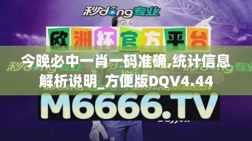 今晚必中一肖一碼準(zhǔn)確,統(tǒng)計(jì)信息解析說(shuō)明_方便版DQV4.44
