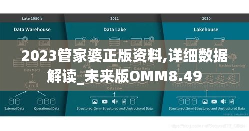 2023管家婆正版資料,詳細(xì)數(shù)據(jù)解讀_未來版OMM8.49