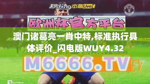 澳門諸葛亮一肖中特,標準執(zhí)行具體評價_閃電版WUY4.32