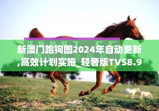 新澳門跑狗圖2024年自動更新,高效計(jì)劃實(shí)施_輕奢版TVS8.93